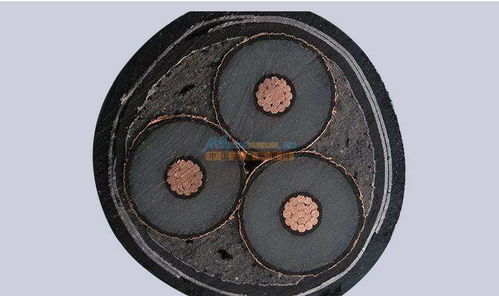 蘭州10kV絕緣架空線 質(zhì)量?jī)?yōu)的品牌與選購(gòu)指南