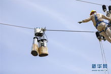 重慶新型導(dǎo)線絕緣化涂覆高空機(jī)器人上崗，有效絕緣導(dǎo)線提升電網(wǎng)安全